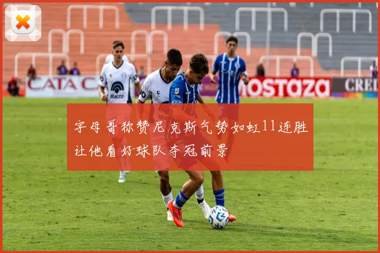 字母哥称赞尼克斯气势如虹11连胜让他看好球队夺冠前景