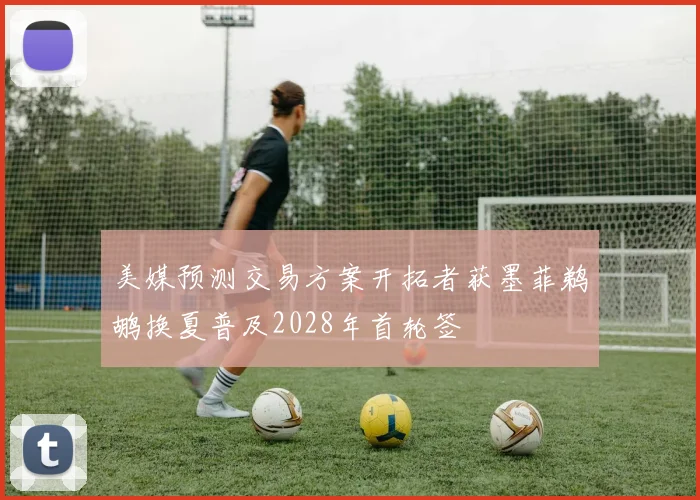美媒预测交易方案开拓者获墨菲鹈鹕换夏普及2028年首轮签